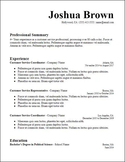 long-professional-summary-resume-template