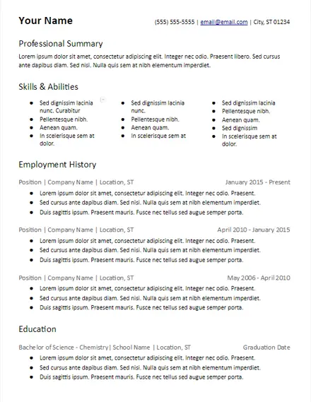 Many Skills Professional Summary Resume Template