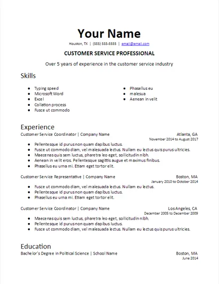 Specific Industry Professional Summary Resume Template