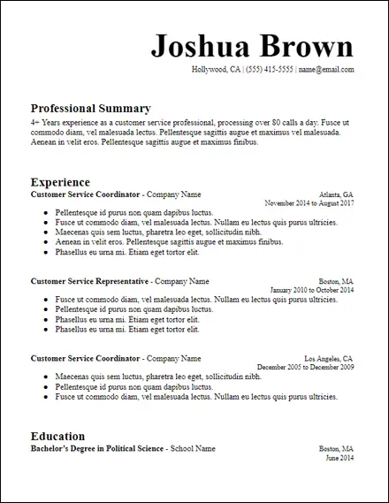 chronological_long_professional_summary_resume_template